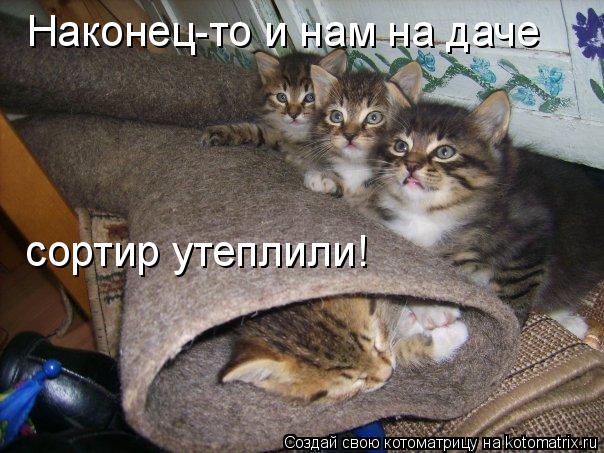 Наконец-то и нам на даче сортир утеплили!... Котоматрица: Наконец-то и нам на даче сортир утеплили!