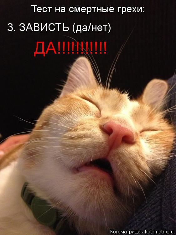 Тест на смертные грехи: 3. ЗАВИСТЬ (да/нет) ДА!!!!!!!!!!!... Котоматрица: Тест на смертные грехи: 3. ЗАВИСТЬ (да/нет) ДА!!!!!!!!!!!
