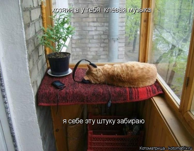 хозяин а у тебя клёвая музыка я себе эту штуку забираю... Котоматрица: хозяин а у тебя клёвая музыка я себе эту штуку забираю