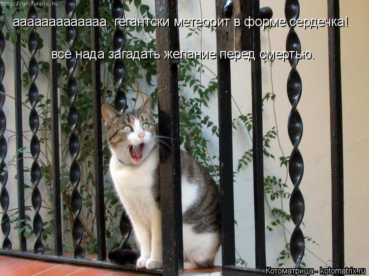 Котоматрица: ааааааааааааа. гегантски метеорит в форме сердечка! ааааааааааааа. гегантски метеорит в форме сердечка! всё нада загадать желание перед см