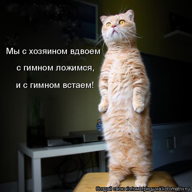 Котоматрица: Мы с хозяином вдвоем с гимном ложимся,  и с гимном встаем!