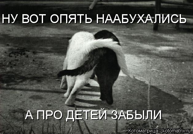 НУ ВОТ ОПЯТЬ НААБУХАЛИСЬ А ПРО ДЕТЕЙ ЗАБЫЛИ... Котоматрица: НУ ВОТ ОПЯТЬ НААБУХАЛИСЬ А ПРО ДЕТЕЙ ЗАБЫЛИ