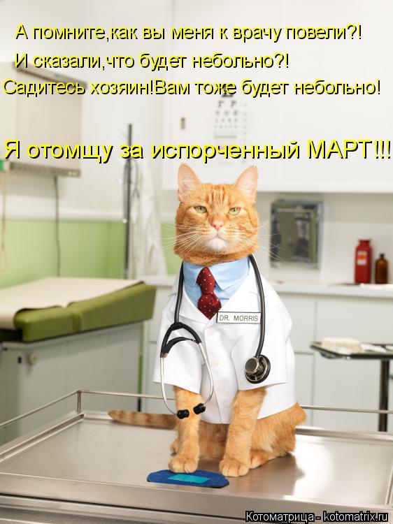 А помните,как вы меня к врачу повели?! И сказали,что будет небольно?! Садитесь хозяин!Вам тоже будет ... Котоматрица: А помните,как вы меня к врачу повели?! И сказали,что будет небольно?! Садитесь хозяин!Вам тоже будет небольно! Я отомщу за испорченный МАРТ!!!