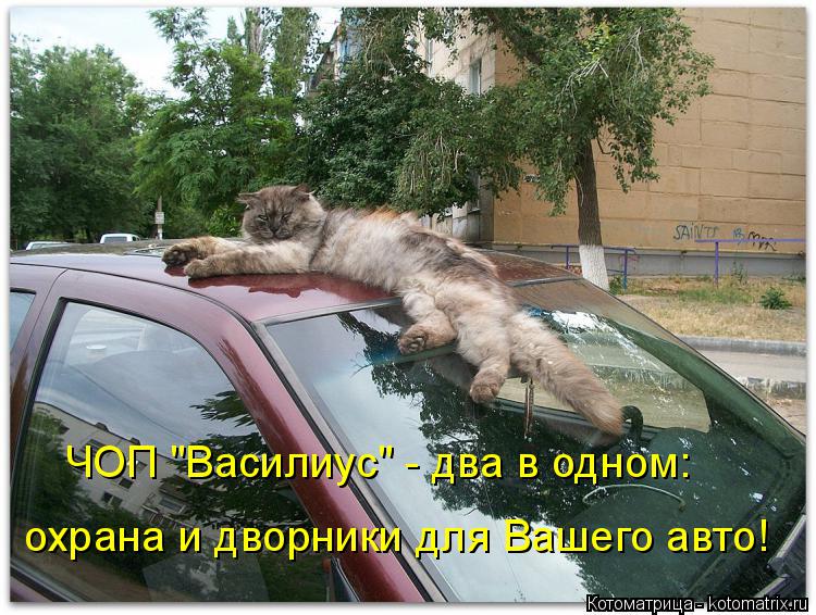 Котоматрица: ЧОП "Василиус" - два в одном: охрана и дворники для Вашего авто!