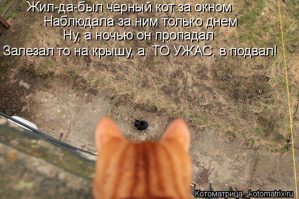 Ну, а ночью он пропадал Залезал то на крышу, а, ТО УЖАС, в подвал! Наблюдала за ним только днем Жил-д... Котоматрица: Ну, а ночью он пропадал Залезал то на крышу, а, ТО УЖАС, в подвал! Наблюдала за ним только днем Жил-да-был черный кот за окном