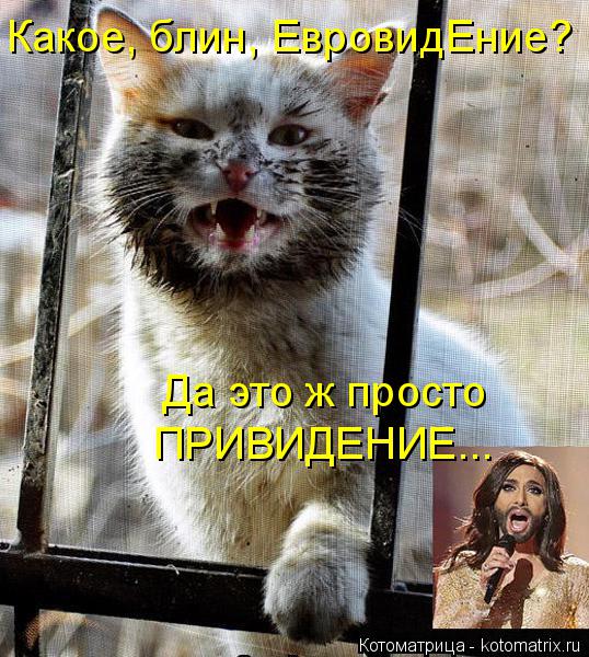 Котоматрица: Какое, блин, ЕвровидЕние? Да это ж просто ПРИВИДЕНИЕ...