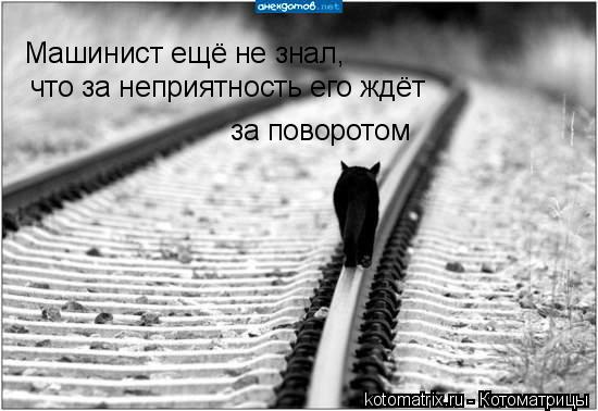 Машинист ещё не знал, что за неприятность его ждёт за поворотом... Котоматрица: Машинист ещё не знал, что за неприятность его ждёт за поворотом