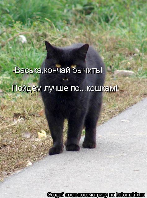 Котоматрица: -Васька,кончай бычить! Пойдём лучше по...кошкам!