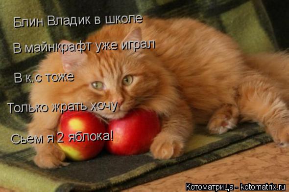 Котоматрица: Блин Владик в школе В майнкрафт уже играл В к.с тоже Только жрать хочу Сьем я 2 яблока!