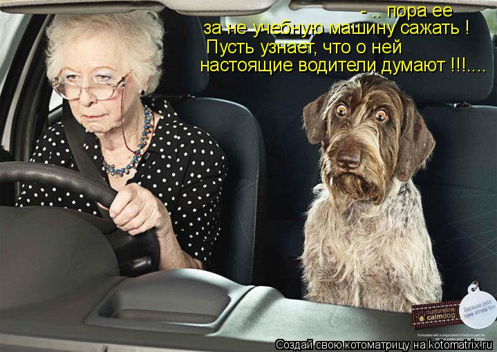- .. пора ее за не учебную машину сажать ! Пусть узнает, что о ней настоящие водители думают !!!....... Котоматрица: - .. пора ее за не учебную машину сажать ! Пусть узнает, что о ней настоящие водители думают !!!....