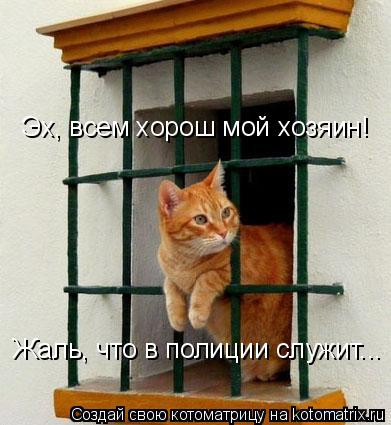 Котоматрица: Эх, всем хорош мой хозяин! Жаль, что в полиции служит...
