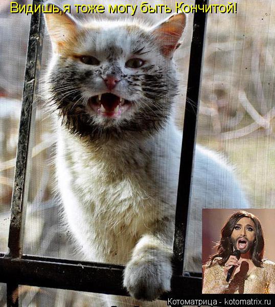 Котоматрица: Видишь,я тоже могу быть Кончитой!