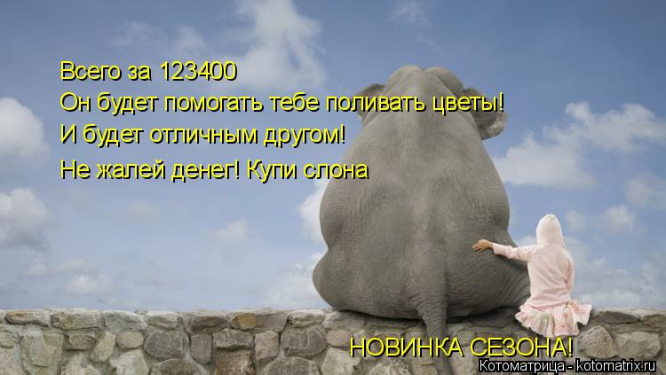 Котоматрица: Всего за 123400 Он будет помогать тебе поливать цветы! И будет отличным другом! Не жалей денег! Купи слона НОВИНКА СЕЗОНА!