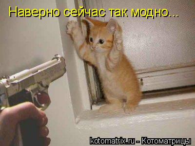 Котоматрица: Наверно сейчас так модно...
