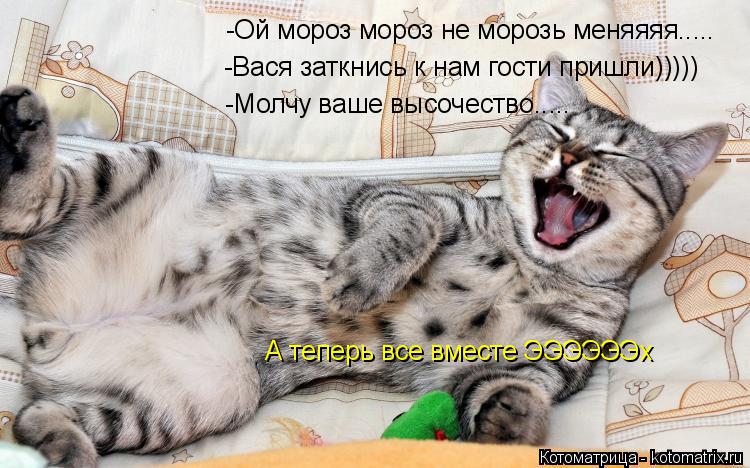 -Ой мороз мороз не морозь меняяяя..... -Вася заткнись к нам гости пришли))))) -Молчу ваше высочество.... Котоматрица: -Ой мороз мороз не морозь меняяяя..... -Вася заткнись к нам гости пришли))))) -Молчу ваше высочество..... А теперь все вместе ЭЭЭЭЭЭх