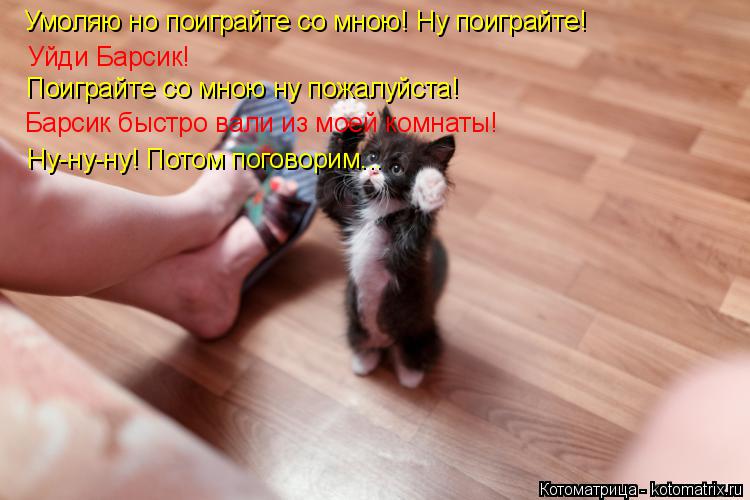 Котоматрица: Умоляю но поиграйте со мною! Ну поиграйте! Уйди Барсик! Поиграйте со мною ну пожалуйста! Барсик быстро вали из моей комнаты! Ну-ну-ну! Потом п