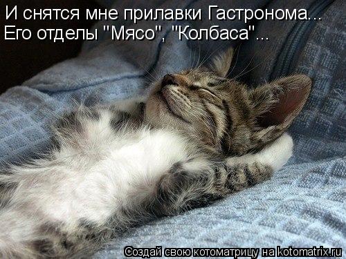 Котоматрица: И снятся мне прилавки Гастронома... Его отделы "Мясо", "Колбаса"...