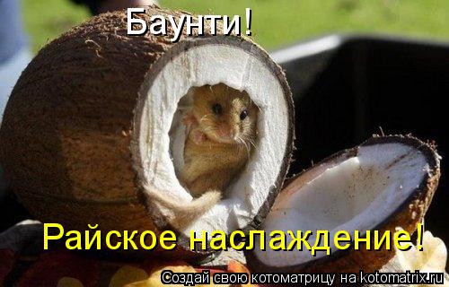 Котоматрица: Баунти! Райское наслаждение!