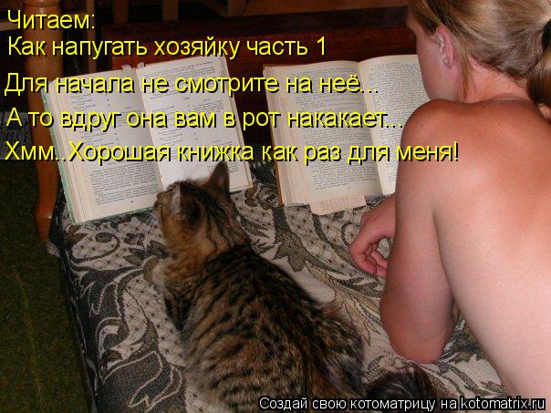 Котоматрица: Читаем: Как напугать хозяйку часть 1 Для начала не смотрите на неё... А то вдруг она вам в рот накакает... Хмм..Хорошая книжка как раз для меня!
