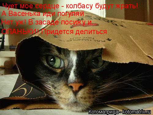Котоматрица: Чует мое сердце - колбасу будут жрать! А Васенька иди погуляй Нет уж! В засаде посижу и... ОПАНЬКИ! Придется делиться