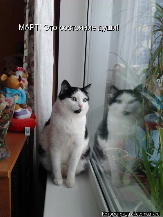 МАРТ! Это состояние души!... Котоматрица: МАРТ! Это состояние души!