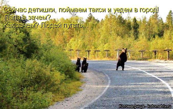 Котоматрица: Сейчас детишки, поймаем такси и уедем в город! Папа а зачем? Как зачем? Людей пугать...