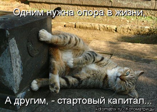 Одним нужна опора в жизни, А другим, - стартовый капитал...... Котоматрица: Одним нужна опора в жизни, А другим, - стартовый капитал...
