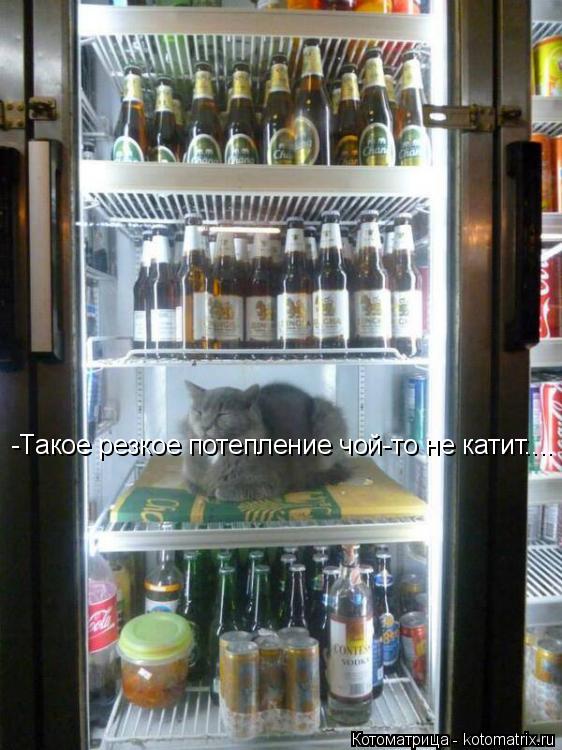 -Такое резкое потепление чой-то не катит....... Котоматрица: -Такое резкое потепление чой-то не катит....