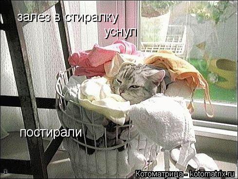 залез в стиралку постирали уснул... Котоматрица: залез в стиралку постирали уснул