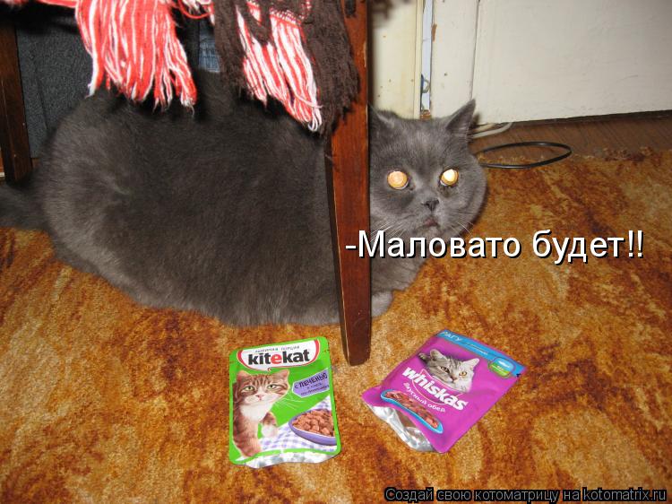 -Маловато будет!!... Котоматрица: -Маловато будет!!