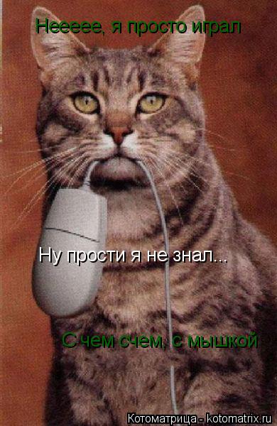 Неееее, я просто играл С чем счем, с мышкой Ну прости я не знал...... Котоматрица: Неееее, я просто играл С чем счем, с мышкой Ну прости я не знал...