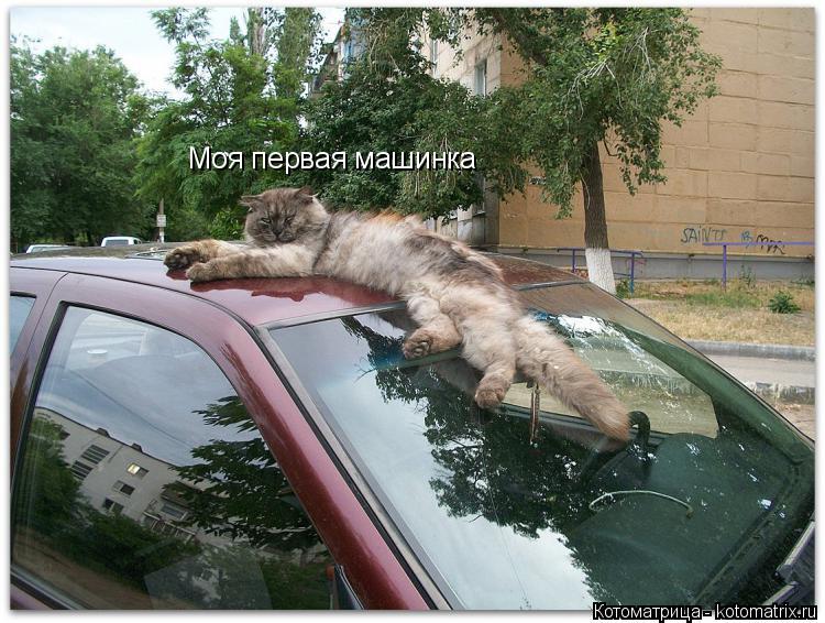 Котоматрица: Моя первая машинка