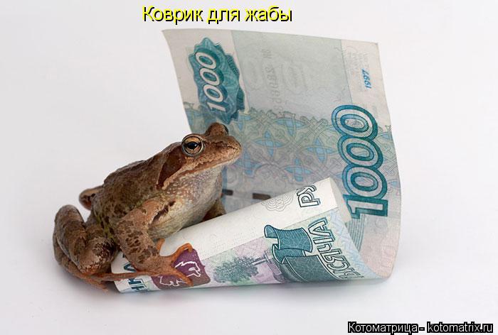 Коврик для жабы... Котоматрица: Коврик для жабы