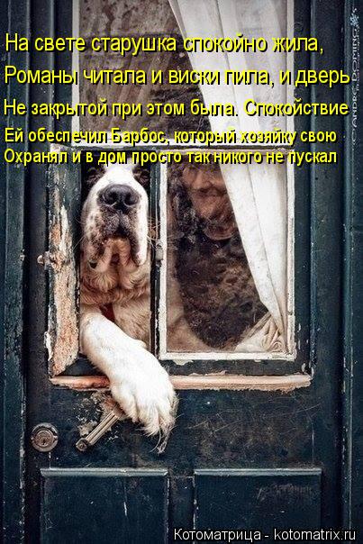 На свете старушка спокойно жила, Романы читала и виски пила, и дверь Не закрытой при этом была. Спок... Котоматрица: На свете старушка спокойно жила, Романы читала и виски пила, и дверь Не закрытой при этом была. Спокойствие Ей обеспечил Барбос, который хоз