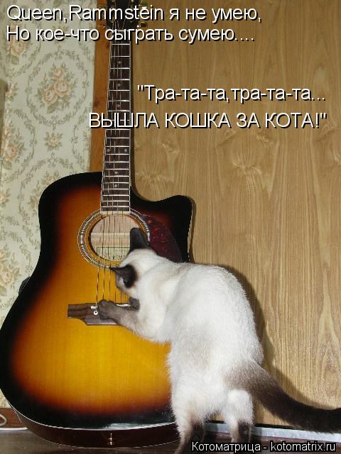 Queen,Rammstein я не умею, Но кое-что сыграть сумею.... "Тра-та-та,тра-та-та... ВЫШЛА КОШКА ЗА КОТА!"... Котоматрица: Queen,Rammstein я не умею, Но кое-что сыграть сумею.... "Тра-та-та,тра-та-та... ВЫШЛА КОШКА ЗА КОТА!"