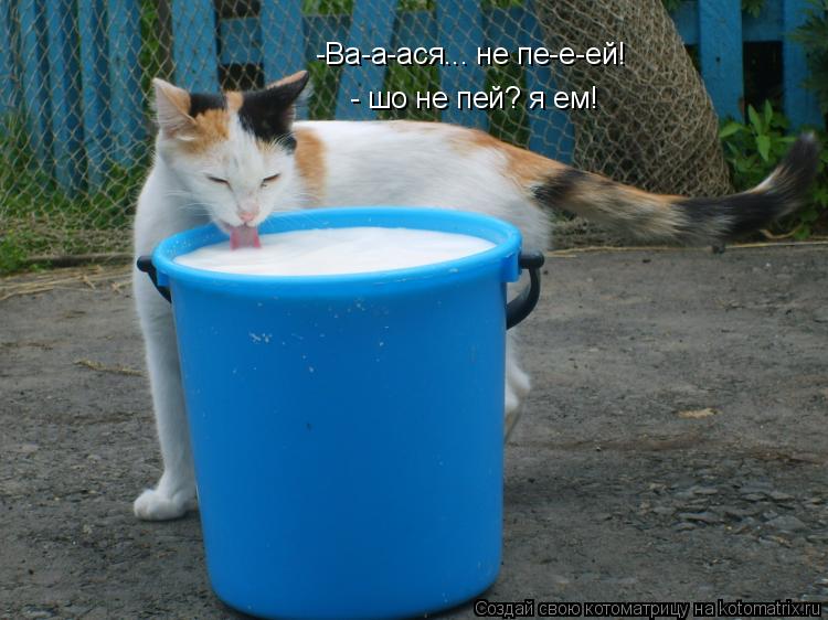 -Ва-а-ася... не пе-е-ей! - шо не пей? я ем!... Котоматрица: -Ва-а-ася... не пе-е-ей! - шо не пей? я ем!