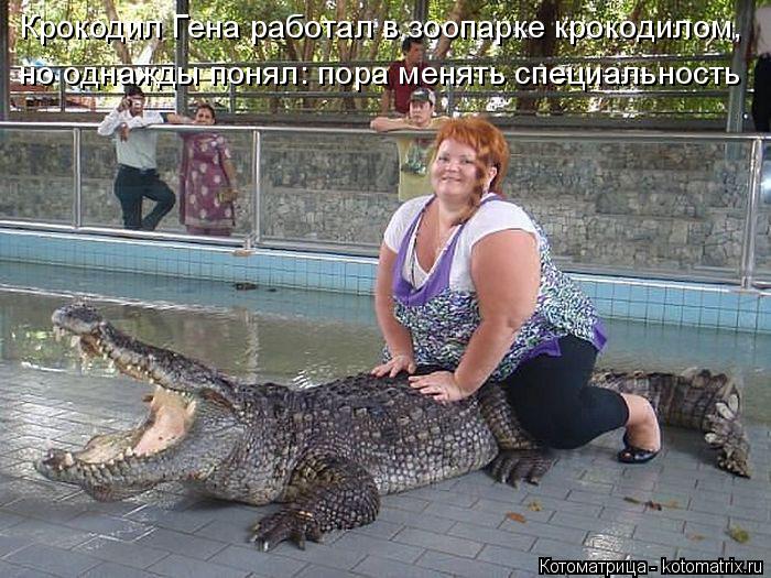 Котоматрица: Крокодил Гена работал в зоопарке крокодилом, но однажды понял: пора менять специальность