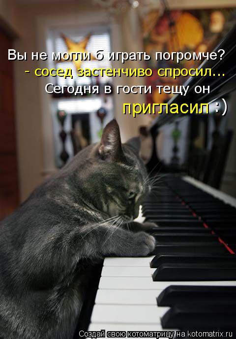 Сегодня в гости тещу он пригласил Вы не могли б играть погромче? - сосед застенчиво спросил... :)... Котоматрица: Сегодня в гости тещу он пригласил Вы не могли б играть погромче? - сосед застенчиво спросил... :)