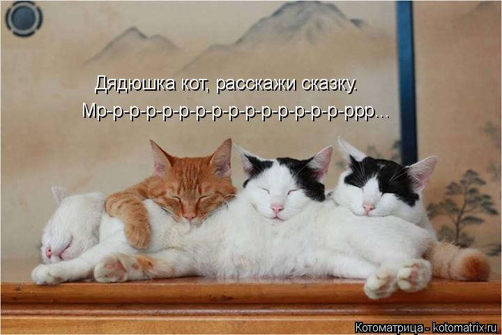 Мр-р-р-р-р-р-р-р-р-р-р-р-р-р-р-ррр... Дядюшка кот, расскажи сказку.... Котоматрица: Мр-р-р-р-р-р-р-р-р-р-р-р-р-р-р-ррр... Дядюшка кот, расскажи сказку.