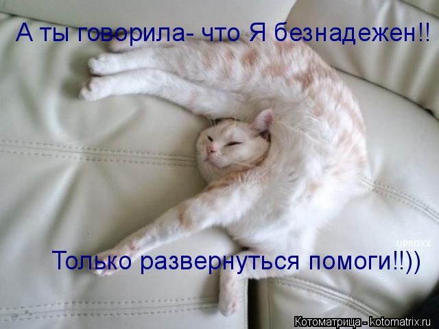 А ты говорила- что Я безнадежен!! Только развернуться помоги!!))... Котоматрица: А ты говорила- что Я безнадежен!! Только развернуться помоги!!))