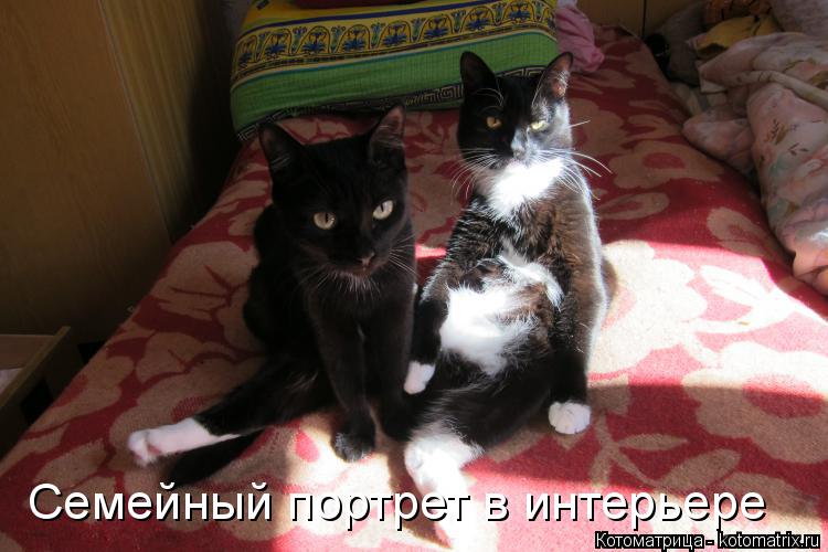 Семейный портрет в интерьере... Котоматрица: Семейный портрет в интерьере