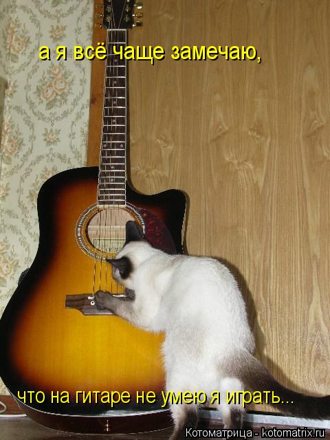 а я всё чаще замечаю, что на гитаре не умею я играть...... Котоматрица: а я всё чаще замечаю, что на гитаре не умею я играть...
