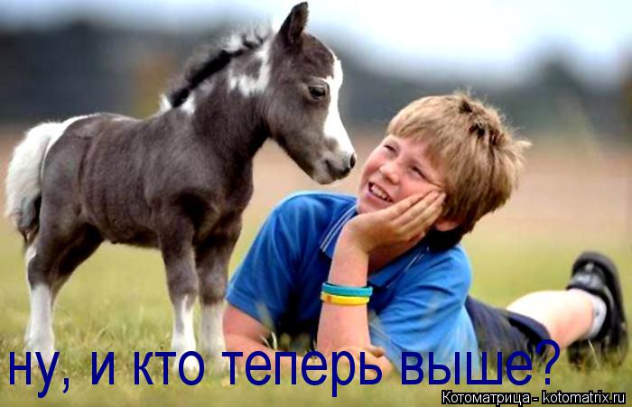 ну, и кто теперь выше?... Котоматрица: ну, и кто теперь выше?