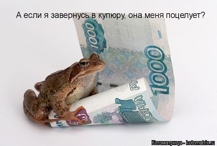 А если я завернусь в купюру, она меня поцелует?... Котоматрица: А если я завернусь в купюру, она меня поцелует?