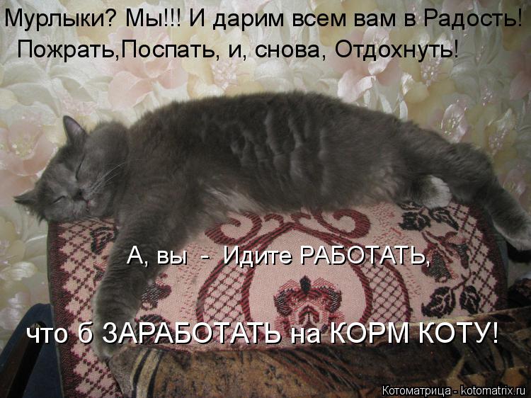 Пожрать,Поспать, и, снова, Отдохнуть! А, вы - Идите РАБОТАТЬ, что б ЗАРАБОТАТЬ на КОРМ КОТУ! Мурлык... Котоматрица: Пожрать,Поспать, и, снова, Отдохнуть! А, вы - Идите РАБОТАТЬ, что б ЗАРАБОТАТЬ на КОРМ КОТУ! Мурлыки? Мы!!! И дарим всем вам в Радость!
