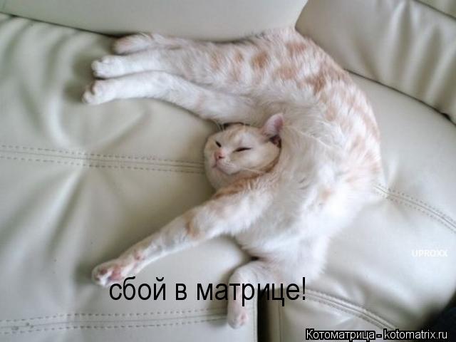 сбой в матрице!... Котоматрица: сбой в матрице!