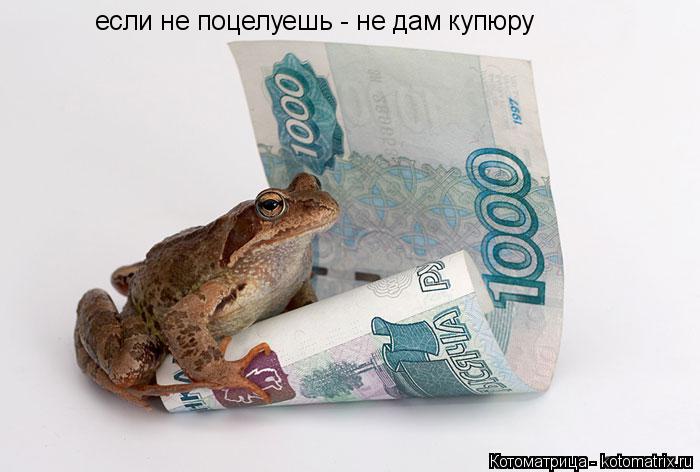 если не поцелуешь - не дам купюру... Котоматрица: если не поцелуешь - не дам купюру