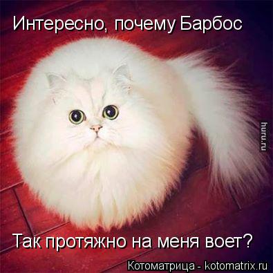 Интересно, почему Барбос Так протяжно на меня воет?... Котоматрица: Интересно, почему Барбос Так протяжно на меня воет?
