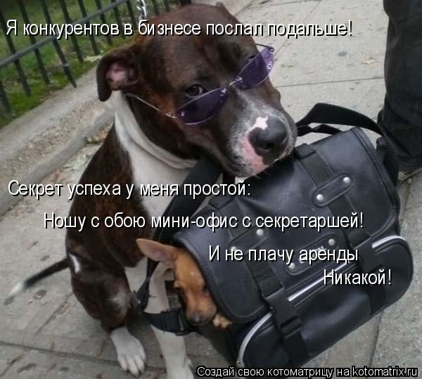 Котоматрица: Я конкурентов в бизнесе послал подальше! Секрет успеха у меня простой: Ношу с обою мини-офис с секретаршей! И не плачу аренды  Никакой!