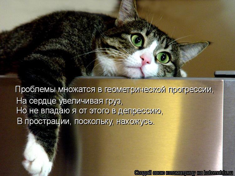 Проблемы множатся в геометрической прогрессии, На сердце увеличивая груз, Но не впадаю я от этого в д... Котоматрица: Проблемы множатся в геометрической прогрессии, На сердце увеличивая груз, Но не впадаю я от этого в депрессию, В прострации, поскольку, нахо